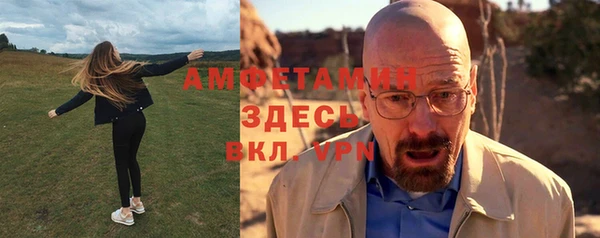 прущие грибы Ельня