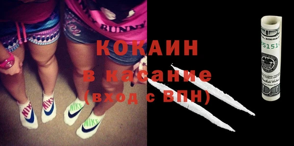 прущие грибы Ельня