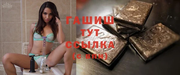 прущие грибы Ельня