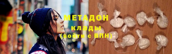 прущие грибы Ельня