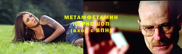прущие грибы Ельня