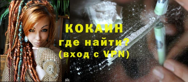 прущие грибы Ельня