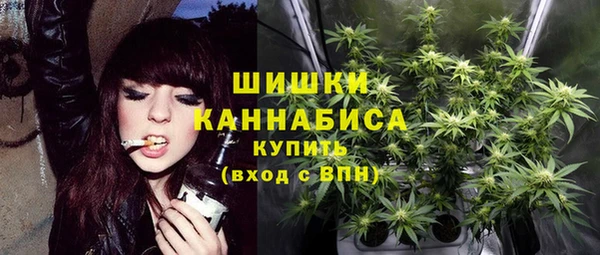 прущие грибы Ельня