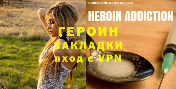 прущие грибы Ельня