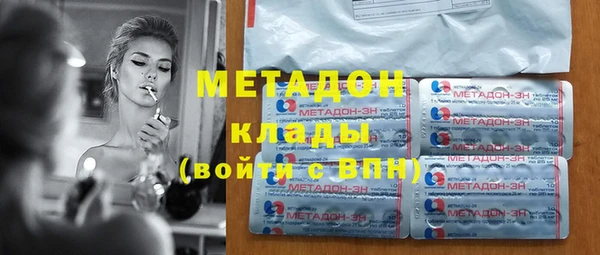 прущие грибы Ельня